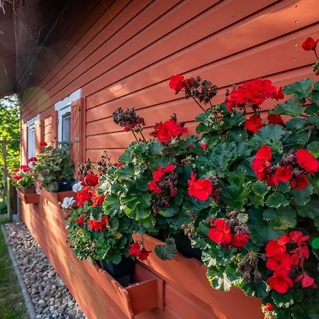 Ferienhaus-gerdi Дом отдыха